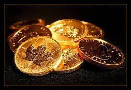 Gold Is On The Rise!-Destination Gold Detectors