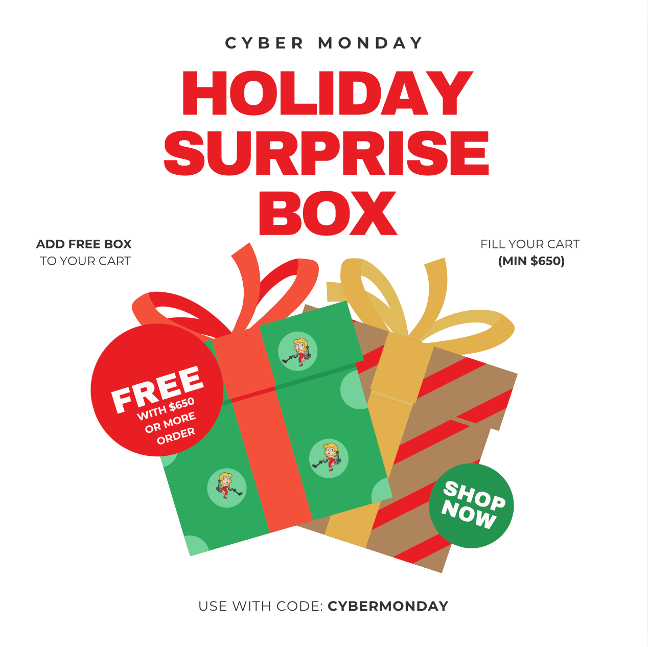 Holiday Surprise Box