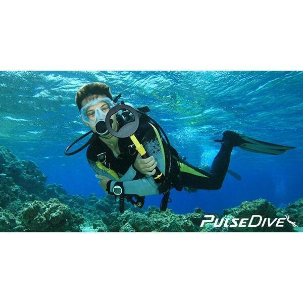 Nokta PulseDive Scuba Detector 8" Coil-Destination Gold Detectors