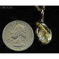 Orocal Gold Quartz Pendant & Nugget PN819NQX-Destination Gold Detectors