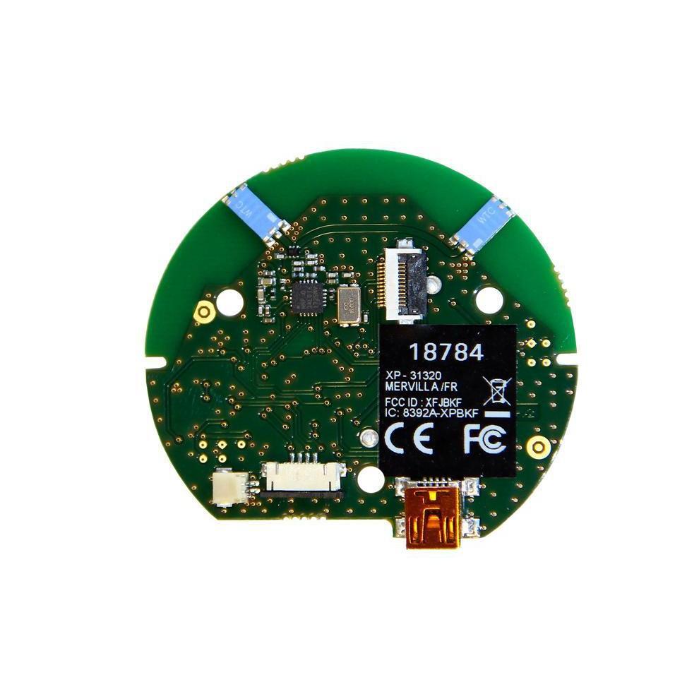 XP WS4 PCB without Battery – Destination Gold Detectors LLC
